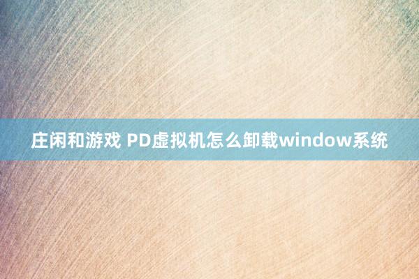庄闲和游戏 PD虚拟机怎么卸载window系统