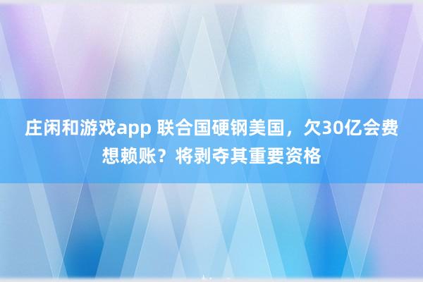 庄闲和游戏app 联合国硬钢美国，欠30亿会费想赖账？将剥夺其重要资格