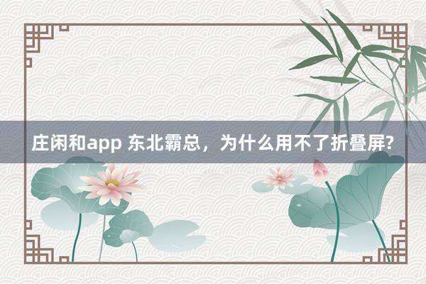 庄闲和app 东北霸总，为什么用不了折叠屏?