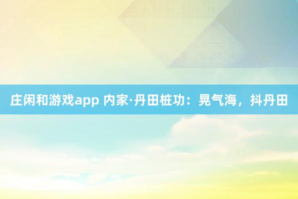 庄闲和游戏app 内家·丹田桩功：晃气海，抖丹田
