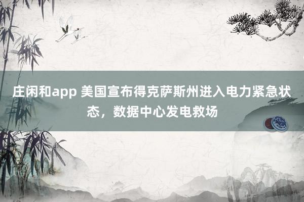 庄闲和app 美国宣布得克萨斯州进入电力紧急状态，数据中心发电救场